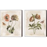 Framed 'Antiquarian Blooms 2 Piece Canvas Print Set' border=