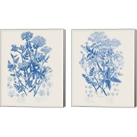 Framed 'Flowering Plants 2 Piece Canvas Print Set' border=
