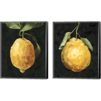 Framed Dark Lemon 2 Piece Canvas Print Set