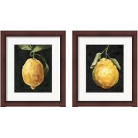 Framed 'Dark Lemon 2 Piece Framed Art Print Set' border=