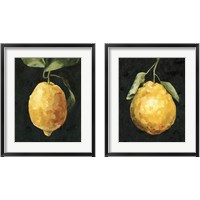 Framed Dark Lemon 2 Piece Framed Art Print Set
