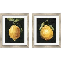Framed 'Dark Lemon 2 Piece Framed Art Print Set' border=