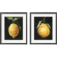 Framed Dark Lemon 2 Piece Framed Art Print Set