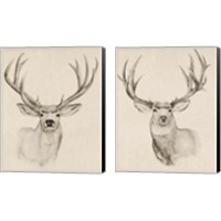 Framed 'Natural Buck 2 Piece Canvas Print Set' border=