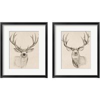 Framed 'Natural Buck 2 Piece Framed Art Print Set' border=