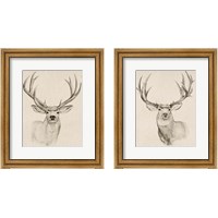 Framed 'Natural Buck 2 Piece Framed Art Print Set' border=