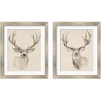 Framed Natural Buck 2 Piece Framed Art Print Set