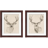 Framed Natural Buck 2 Piece Framed Art Print Set