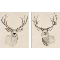 Framed 'Natural Buck 2 Piece Art Print Set' border=
