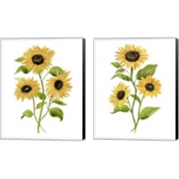 Framed Sunflower Trio 2 Piece Canvas Print Set