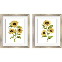 Framed 'Sunflower Trio 2 Piece Framed Art Print Set' border=