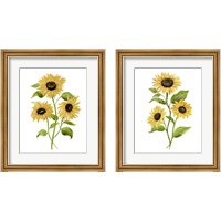 Framed 'Sunflower Trio 2 Piece Framed Art Print Set' border=