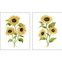 Framed 'Sunflower Trio 2 Piece Art Print Set' border=
