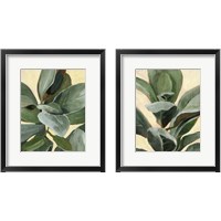 Framed 'Plant Study 2 Piece Framed Art Print Set' border=