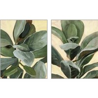 Framed 'Plant Study 2 Piece Art Print Set' border=