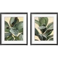 Framed Plant Study 2 Piece Framed Art Print Set