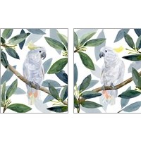 Framed 'Cockatoo Perch 2 Piece Art Print Set' border=