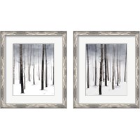 Framed 'Hazy Winter Walk 2 Piece Framed Art Print Set' border=