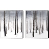 Framed 'Hazy Winter Walk 2 Piece Canvas Print Set' border=