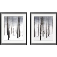 Framed Hazy Winter Walk 2 Piece Framed Art Print Set