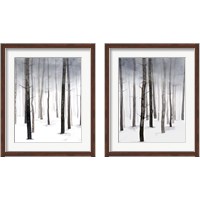 Framed 'Hazy Winter Walk 2 Piece Framed Art Print Set' border=