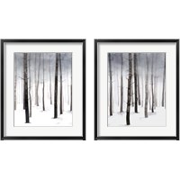 Framed Hazy Winter Walk 2 Piece Framed Art Print Set