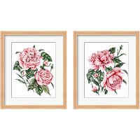 Framed Roses are Red 2 Piece Framed Art Print Set