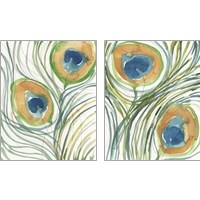 Framed Peacock Abstract 2 Piece Art Print Set