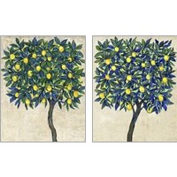 Framed 'Lemon Tree Composition 2 Piece Art Print Set' border=