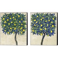 Framed 'Lemon Tree Composition 2 Piece Canvas Print Set' border=