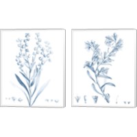Framed Antique Botanical in Blue 2 Piece Canvas Print Set