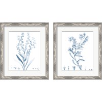 Framed 'Antique Botanical in Blue 2 Piece Framed Art Print Set' border=