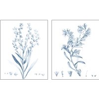 Framed Antique Botanical in Blue 2 Piece Art Print Set