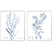 Framed 'Antique Botanical in Blue 2 Piece Canvas Print Set' border=