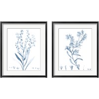 Framed 'Antique Botanical in Blue 2 Piece Framed Art Print Set' border=