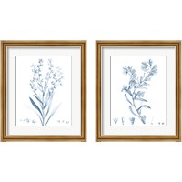 Framed Antique Botanical in Blue 2 Piece Framed Art Print Set