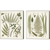 Framed 'Fanciful Ferns 2 Piece Canvas Print Set' border=