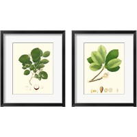 Framed Spring Green Foliage 2 Piece Framed Art Print Set