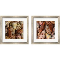 Framed Mini Conch Shells 2 Piece Framed Art Print Set