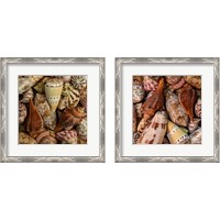 Framed Mini Conch Shells 2 Piece Framed Art Print Set