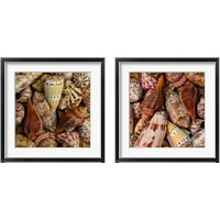 Framed Mini Conch Shells 2 Piece Framed Art Print Set