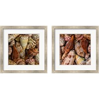 Framed 'Mini Conch Shells 2 Piece Framed Art Print Set' border=