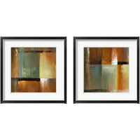 Framed 'Sonoran Shadows  2 Piece Framed Art Print Set' border=