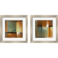 Framed 'Sonoran Shadows  2 Piece Framed Art Print Set' border=