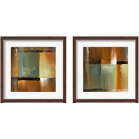 Framed Sonoran Shadows  2 Piece Framed Art Print Set