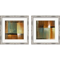 Framed 'Sonoran Shadows  2 Piece Framed Art Print Set' border=