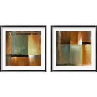 Framed 'Sonoran Shadows  2 Piece Framed Art Print Set' border=