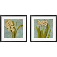 Framed 'Hyacinth on Teal 2 Piece Framed Art Print Set' border=