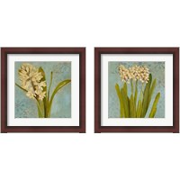 Framed 'Hyacinth on Teal 2 Piece Framed Art Print Set' border=