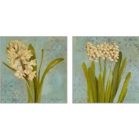 Framed 'Hyacinth on Teal 2 Piece Art Print Set' border=